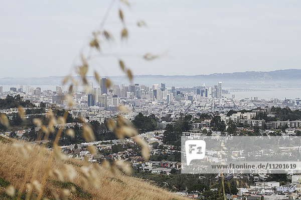 Blick auf das Stadtbild bei klarem Himmel  San Francisco  Kalifornien  USA