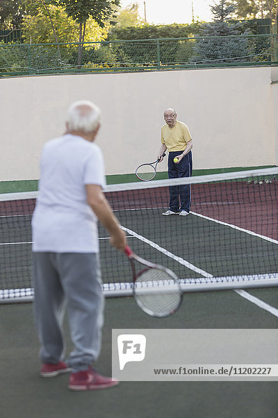 Senior men playing tennis at court
