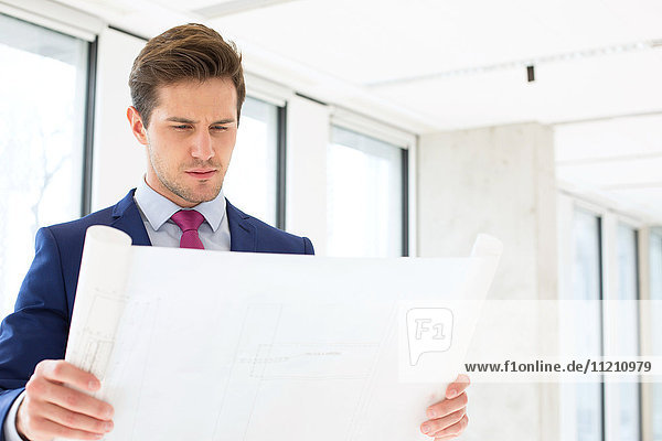 Confident young businessman reading blueprint in new office