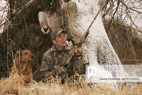 Hunter Ground Hunting mit Yellow Rusty Lab