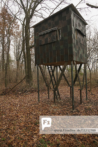 Deer Blind in Rural area