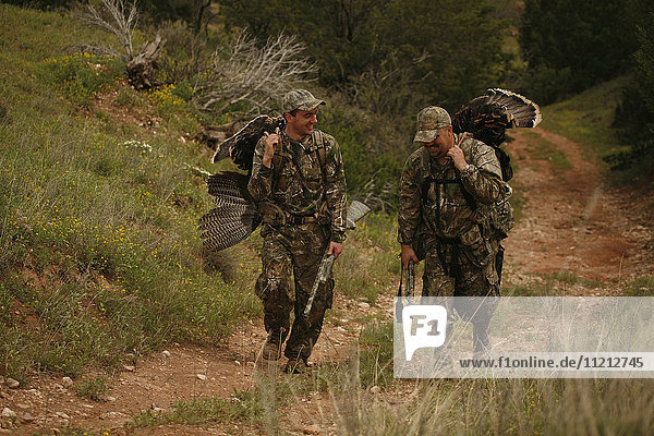 Turkey Hunters Carrying Turkeys