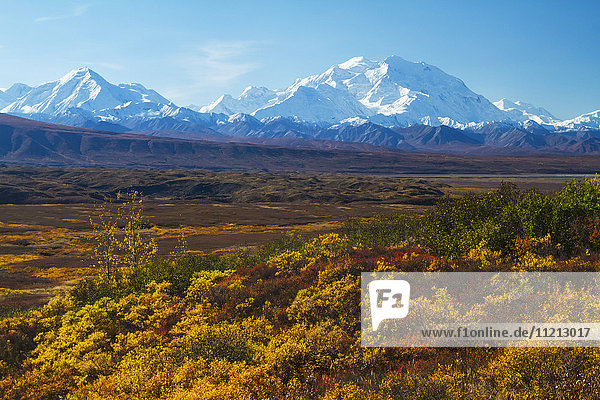 Herbstliche Aussicht auf den Denali und die Alaska Range  Denali National Park  Inner-Alaska  USA
