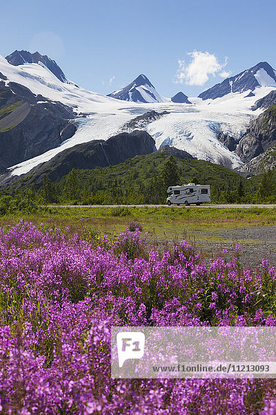 Blick auf den Worthington-Gletscher und das Feuergras im Vordergrund mit einem Wohnmobil auf dem Richardson Highway  Süd-Zentral-Alaska  USA