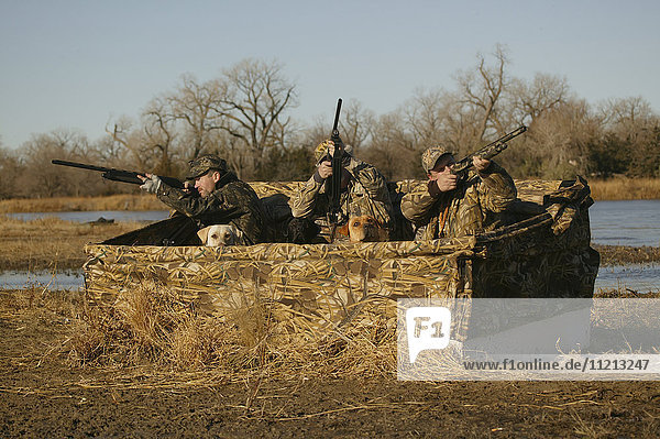 Waterfowl Hunters In Blind Aiming At Birds
