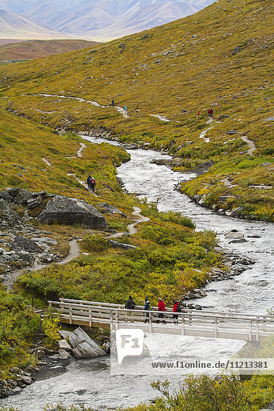 Wanderer überqueren eine Brücke auf dem Savage River Trail  Denali National Park & Preserve  Inneres Alaska  USA