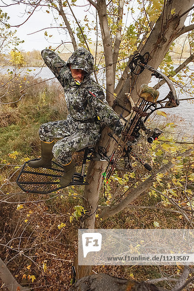 Bowhunter Aiming From Tree Saddle
