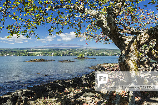 'Hilo Bay with Hilo and Mauna Kea in the distance; Hilo Island of Hawaii Hawaii United States of America'