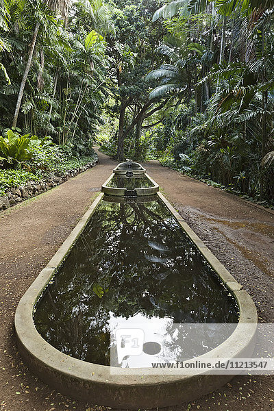 Three Pools Room in Allerton Garden  Teil des National Botanical Garden bei Poipu; Kauai  Hawaii  Vereinigte Staaten von Amerika'.