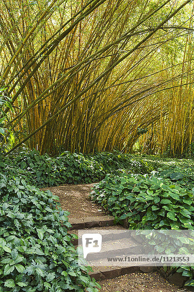 Bamboo Room in Allerton Garden  Teil des National Botanical Garden bei Poipu; Kauai  Hawaii  Vereinigte Staaten von Amerika'.