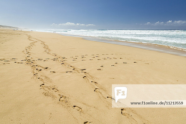 'Footprints in the sand  Barking Sands (Polihale Beach) on West Kauai; Kauai  Hawaii  United States of America'