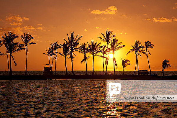 Goldener Sonnenuntergang in einem orangefarbenen Himmel mit silhouettierten Palmen entlang der Küste; Hawaii  Vereinigte Staaten von Amerika'.