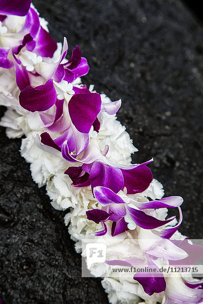 Frischblumen-Lei auf schwarzem Lavagestein; Maui  Hawaii  Vereinigte Staaten von Amerika'.