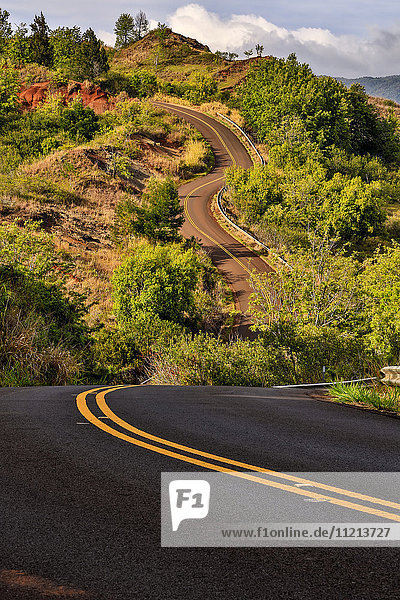 Eine kurvenreiche Straße durch eine Landschaft mit üppiger Vegetation; Waimea  Kauai  Hawaii  Vereinigte Staaten von Amerika'.