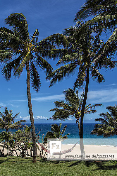 Eine Hängematte hängt zwischen zwei Palmen am Strand mit blauem Himmel und Meer; Maui  Hawaii  Vereinigte Staaten von Amerika'.