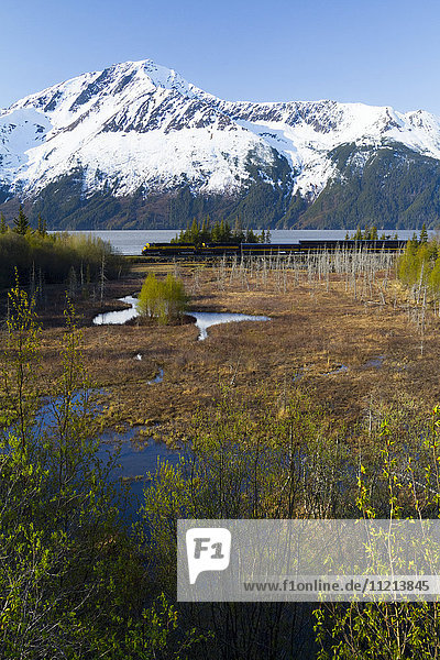 Blick auf die schneebedeckten Berge in der Nähe von Bird Point  als der Personenzug der Alaska Railroad vorbeifährt  Süd-Zentral-Alaska  USA