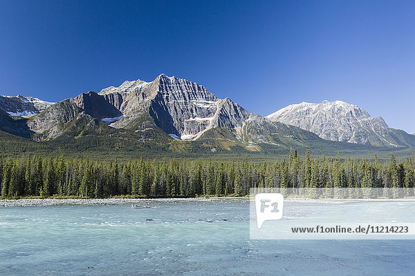 'Athabasca River along Icefields Highway in Banff National Park; Alberta  Canada'