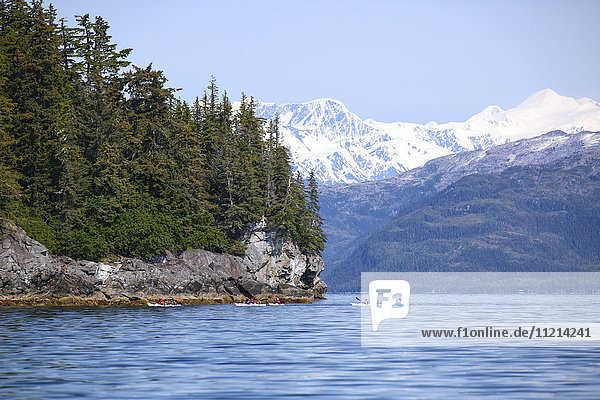 A group of Sea Kayakers on the calm waters of Main Bay  Prince William Sound  Whittier  Southcentral Alaska  USA  Summer