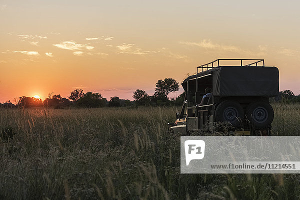 'Safari truck pointing at sunset in grass; Botswana'