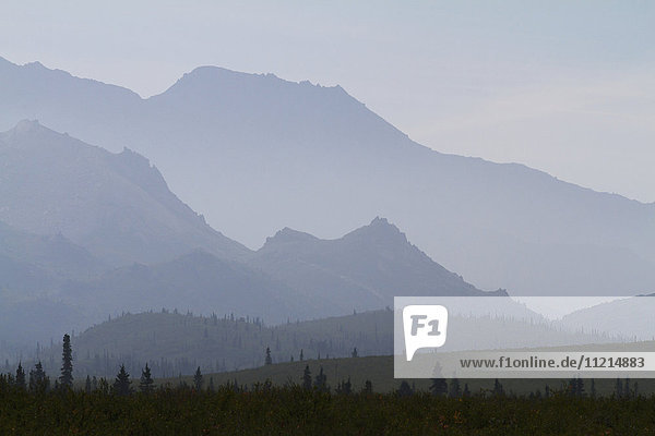 'A mountain scene taken from the park road near Teklanika Campground,  Denali National Park and Preserve,  interior Alaska in summertime; Alaska,  United States of America'