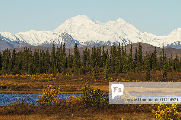'Denali towers over a small pond and spruce trees in interior Alaska in autumn  view from the Parks Highway south of Cantwell; Alaska  United States of America'