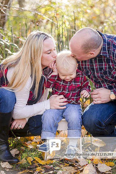 Ein junges Paar küsst den Kopf ihres kleinen Sohnes  während er bei Familienporträts im Herbst davonschwirrt; Surrey  British Columbia  Kanada'.