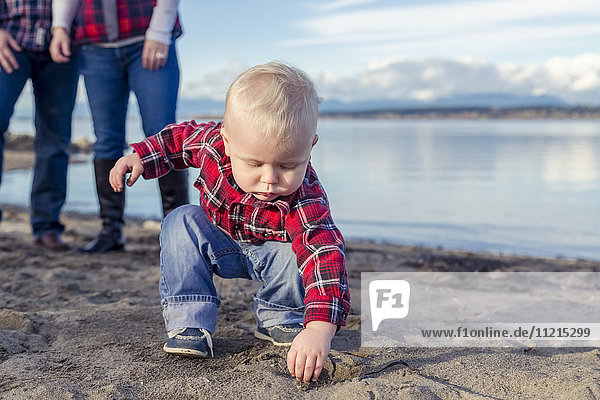 Ein Kleinkind macht sich beim Spielen mit Sand am Strand die Hände schmutzig  während seine Eltern im Hintergrund zusehen; Surrey  British Columbia  Kanada'.