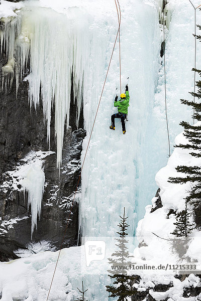 Männlicher Eiskletterer auf gefrorenen Eisfällen; Alberta  Kanada