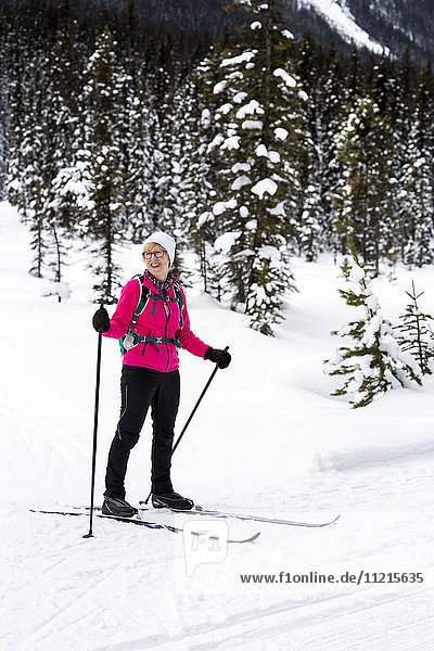 'Female cross country skier smiling along groomed trail with snow covered trees in background; Lake Louise  Alberta  Canada'