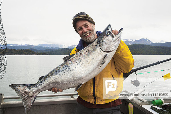Erfolgreicher Fang von Königslachs (Chinook Salmon) (Oncorhynchus tshawytscha) bei Homer  Alaska in der Kachemak Bay; Alaska  Vereinigte Staaten von Amerika'.