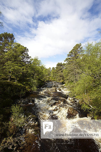 Felsiger  von Wald gesäumter Fluss in den schottischen Highlands