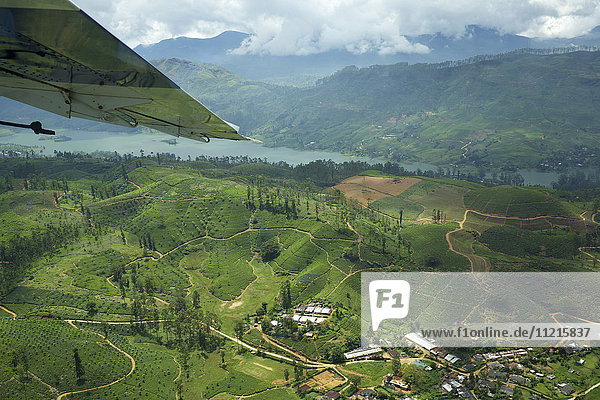 Luftaufnahme von Hügeln  Teeplantagen und See