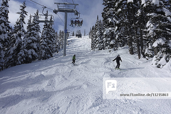 'Skiing under the chairlift  Harmony Express; Whistler  British Columbia  Canada'