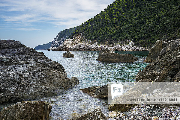 'View of the coastline of a greek island with rocks and a forest on the mountainside; Sporades  Thessalia Sterea Ellada  Greece'