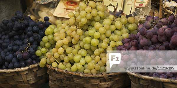 Verschiedene frische Trauben in Körben zum Verkauf; Siena  Italien'.