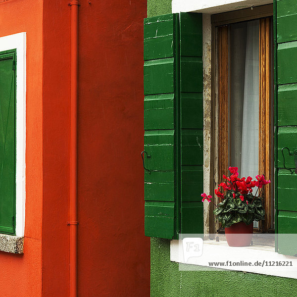 'Walls of a house painted red and green with a potted flower on the windowsill; Venice  Italy'