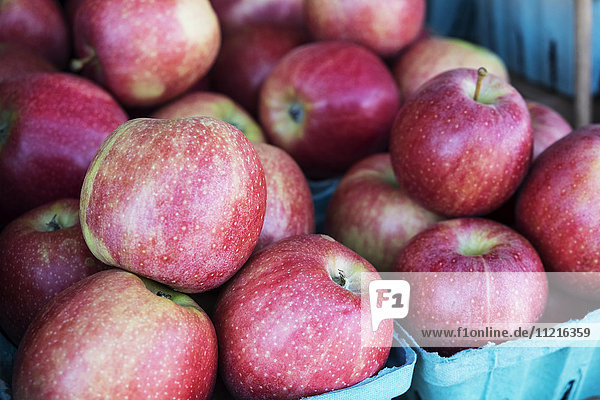 Frische Äpfel am Bauernhof; Lititz,  Pennsylvania,  Vereinigte Staaten von Amerika'.