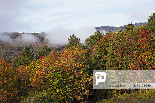 Nebeliger Morgen im Herbst; Waterbury  Vermont  Vereinigte Staaten von Amerika'.