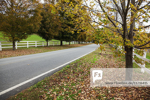 'Scenic farm road in autumn; Woodstock  Vermont  United States of America'