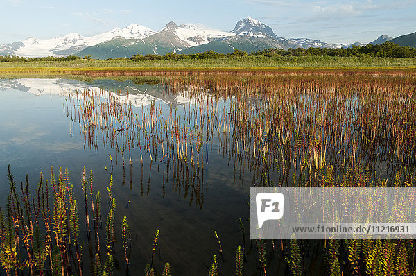 Alaska-Landschaft mit Bergen  die sich im ruhigen Wasser spiegeln  Katmai National Park; Alaska  Vereinigte Staaten von Amerika'.