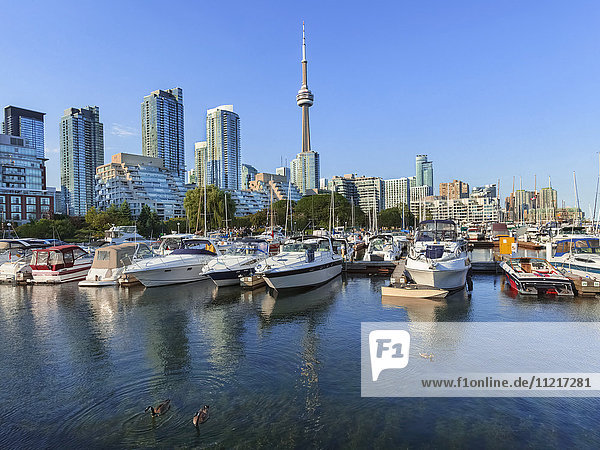 Toronto harbourfront marina; Toronto  Ontario  Canada