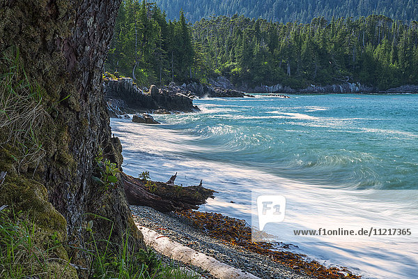 Die Brandung schlägt an die Küste; Haida Gwaii  British Columbia  Kanada'.
