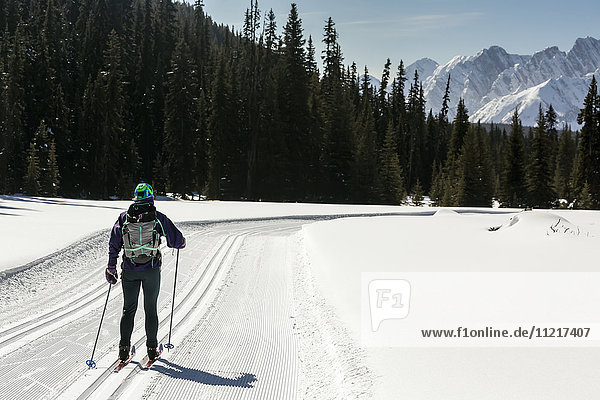 'Female cross country skier on freshly groomed ski trail with snow covered mountains and blue sky; Alberta  Canada'