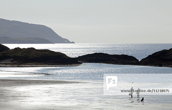 Silhouette eines Mannes  einer Frau und eines Hundes an einem Strand mit schimmerndem Wasser und Küstenlinie; County Kerry  Irland