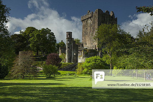 Burg Blarney; Grafschaft Cork  Irland