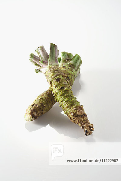 Wasabi