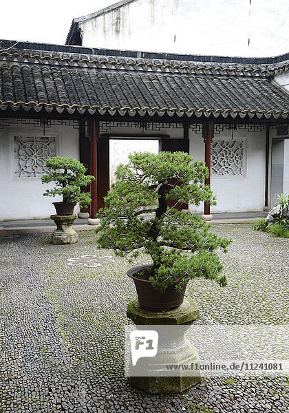 Gartenanlage in Suzhou  Bonsai  China