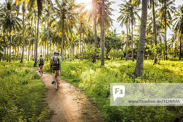 Rückansicht von zwei jungen Frauen  die im Palmenwald Rad fahren  Gili Meno  Lombok  Indonesien