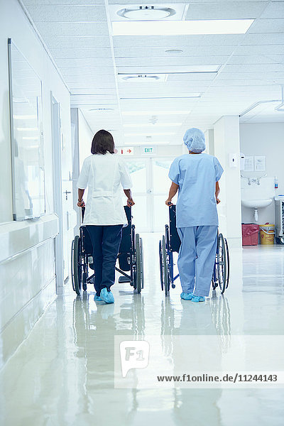 Rear view of female orderlies pushing wheelchairs along hospital corridor