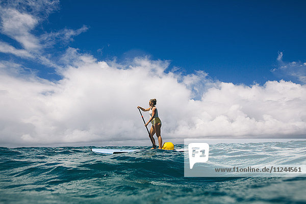 Pregnant mid adult woman stand up paddleboarding in sea  Makua beach  Hawaii  USA